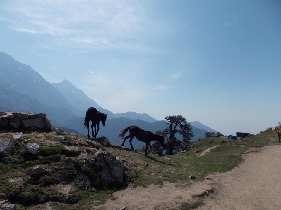 triund trek weekend getaways