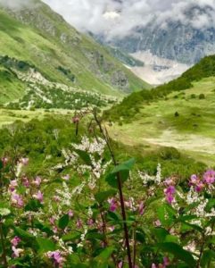 valley of flower trek